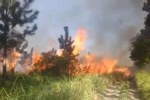 San Miguel: Bomberos controlaron un incendio tras 4 horas de trabajo