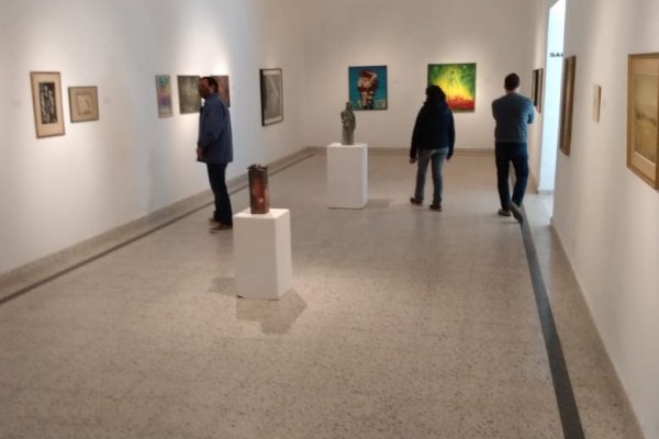 Los museos de Bellas Artes y Ciencias Naturales reabren sus puertas al público