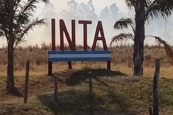 Corrientes: Aún no han logrado controlar el incendio en el INTA