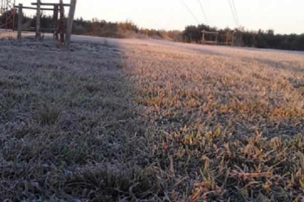 Heladas en uno de los días más fríos en Corrientes