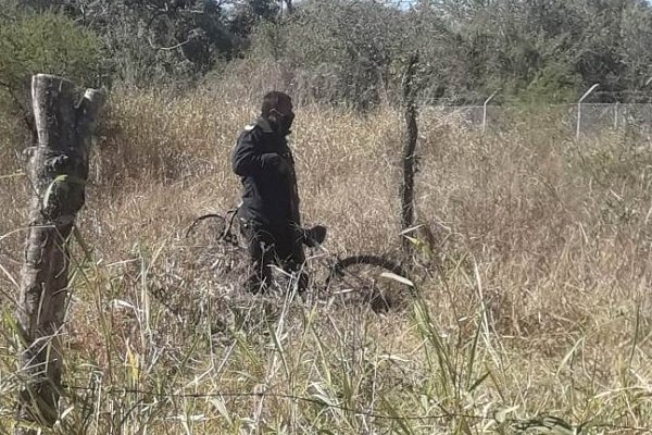 Escondían dos bicicletas robadas en un terreno baldío