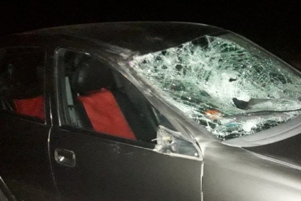 Accidente fatal en Ruta 27: Un jinete murió tras ser embestido por un auto