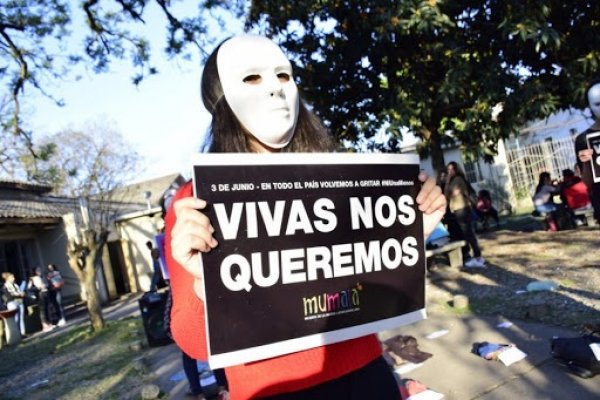 Números de violencia en pandemia: en 155 días de cuarentena, 109 femicidios y un tarvesticidio