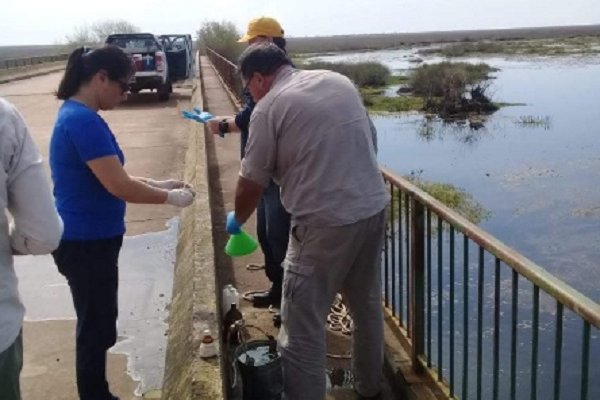 Se inicia campaña de indicadores ambientales en los ríos Corriente y Miriñay