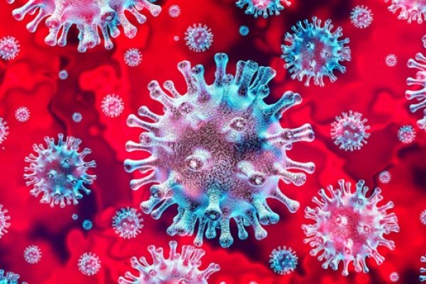 Chaco: Confirman 196 el total de fallecidos por Coronavirus
