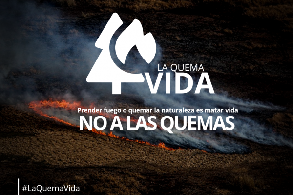 Lanzan campaña “La quema vida” para concientizar sobre los incendios