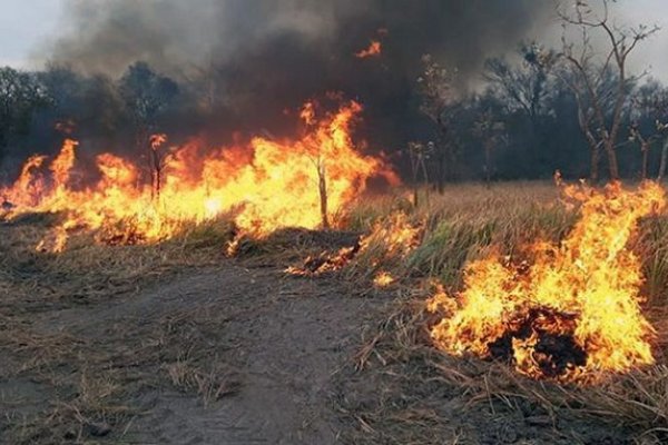 Corrientes: Habrá multas desde los 26 mil pesos a quienes quemen pastizales