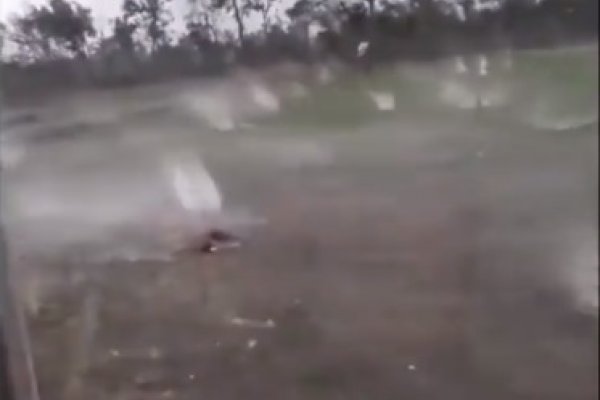VIDEO- Temporal con impresionante caída de granizo en Entre Ríos