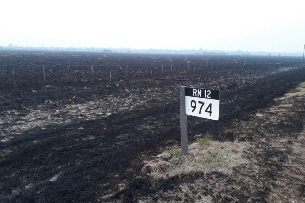 Buscan al autor de un incendio que convirtió en cenizas un campo