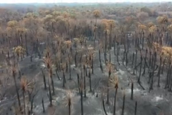 VIDEO- Impactantes imágenes de como quedó el Parque provincial San Cayetano