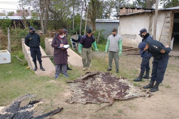 Prevención del Abigeato: Continúan los operativos  en el Interior