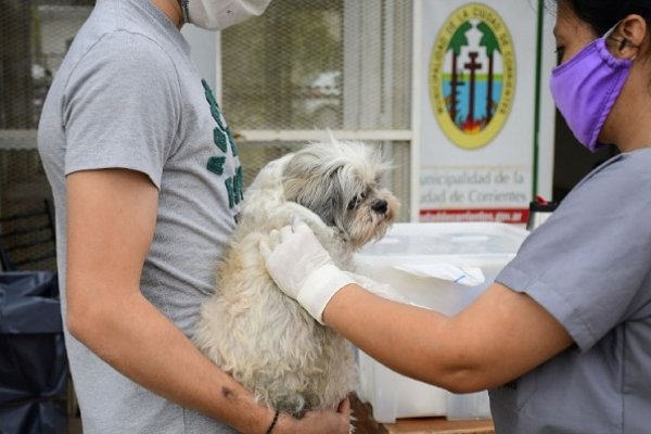 Mascotas Saludables dio a conocer su cronograma del mes de septiembre