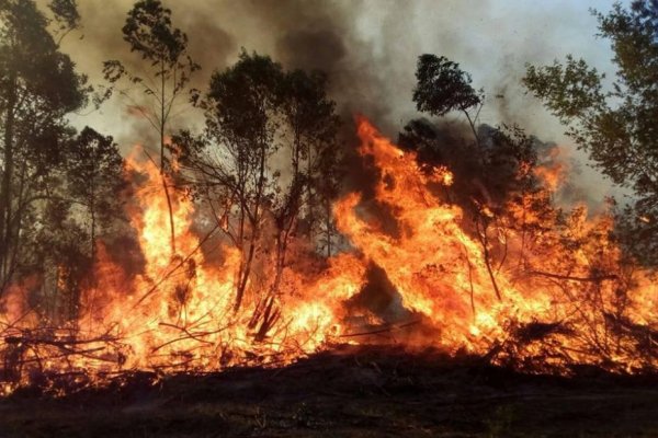 Corrientes: cambió el clima y se terminaron los incendios rurales 