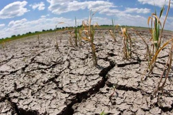La sequía afectó a 175 millones de hectáreas en todo el país