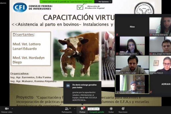 Se realizó una capacitación virtual en producción animal a EFAs y Agrotécnicas