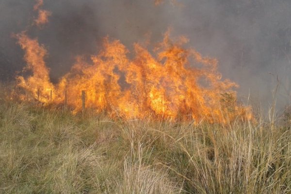 Prohíben todo tipo de quemas en el territorio provincial