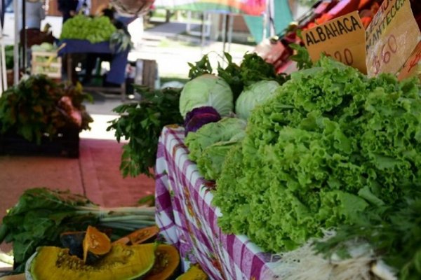 Productores ofrecerán productos frescos en plaza La Cruz