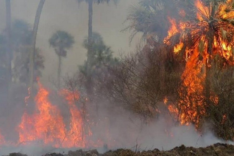 Se quemaron 3 mil hectáreas de pastizales en el incendio del Parque Nacional Chaco