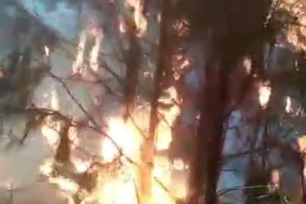 Avanza el incendio forestal en Villa Olivari