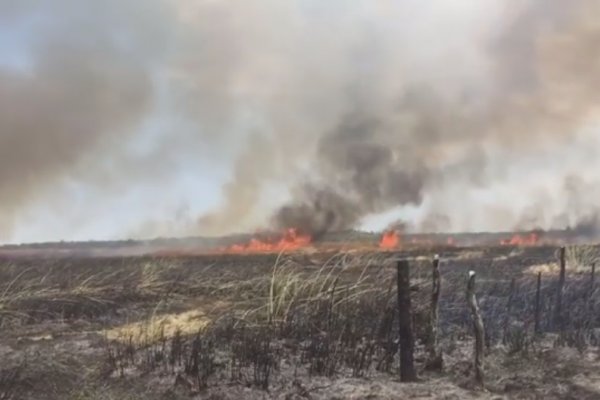 Lograron extinguir el  incendio pero el humo dificulta la visión en Ruta 12