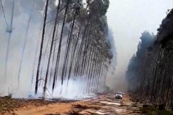 Urgen a evitar quemas por los enormes daños en Corrientes