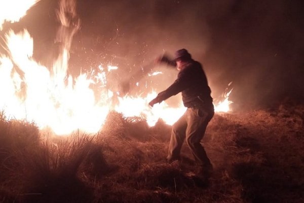Incendios en El Sombrero: Algunos focos siguen prendidos por efecto del viento
