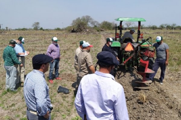 Lavalle, punto de partida para el desarrollo de la cuenca pecanera