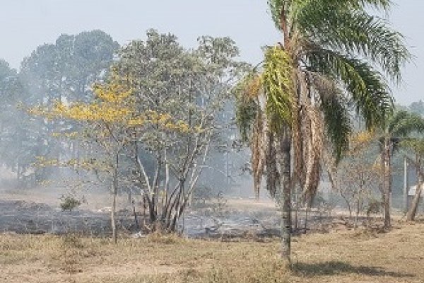 VIDEO- Macabro hallazgo: Habrían ocasionado el incendio para ocultar el cadáver