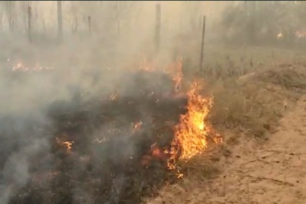 Fueron a apagar un incendio y hallaron el cadáver de una mujer