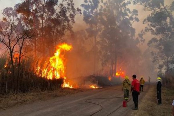 El fuego consumió más de 400 hectáreas en 3 de Abril