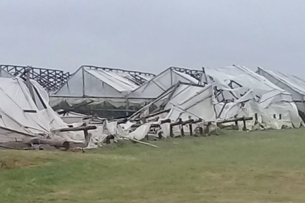 Temporal afectó plantaciones hortícolas y dejó varias localidades sin luz