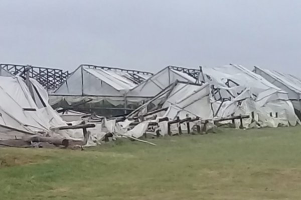 Temporal afectó plantaciones hortícolas y dejó varias localidades sin luz