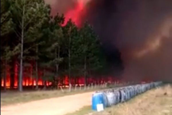 Impactantes imágenes del incendio en Santa Rosa