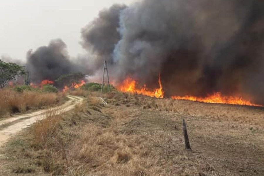 Incendio en Santa Ana