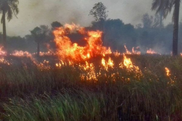 Corrientes: Con avión hidrante combatirán los incendios