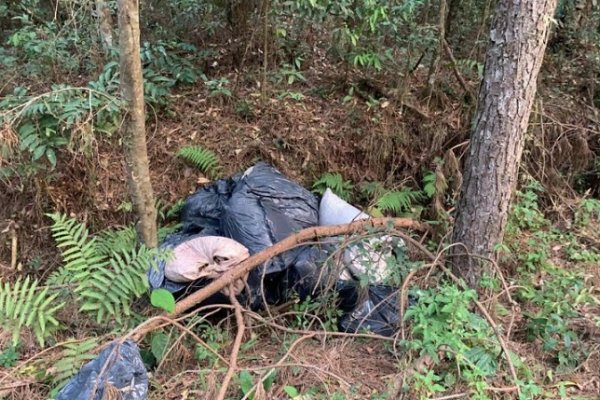 Misiones: Detienen al conductor de un vehículo que  trasladaba más de 68 kilos de marihuana