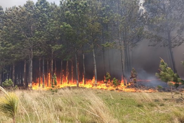 El fuego sin control amenaza zonas pobladas de un paraje en San Miguel