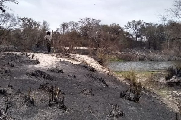 Tras la difícil jornada de ayer, hoy no se registraron incendios en Corrientes
