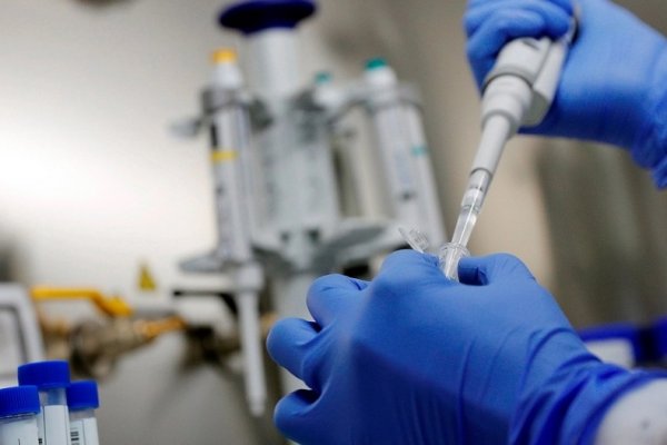 Argentina, Brasil y Francia buscan desarrollar una vacuna oral contra el coronavirus