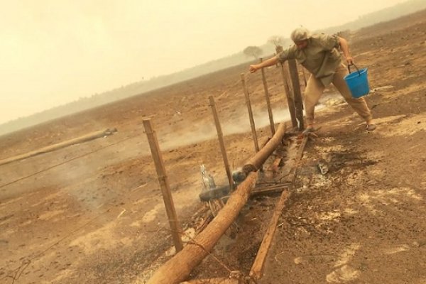 Incendios y sequía: Se reúne la Comisión Nacional de Emergencia Agropecuaria