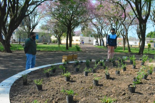 Continúan las obras en la intendente Plaza Rafael Flores