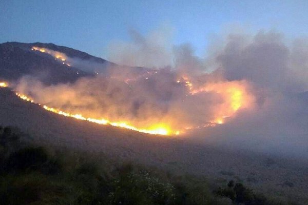 Advierten que la mayoría de los incendios son iniciados por humanos