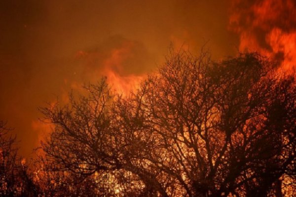 Córdoba: Dictan prisión preventiva para dos imputados por causar un incendio que afectó a miles de hectáreas