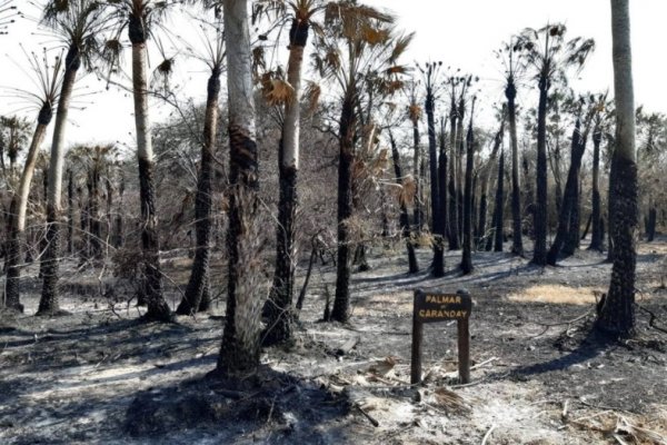 Corrientes: el fuego provocó 