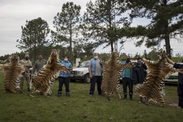 Entre Ríos: Faltaban animales en un zoo y encontraron los cueros