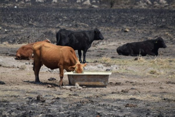 Se implementan nuevas acciones para asistir a los pequeños productores