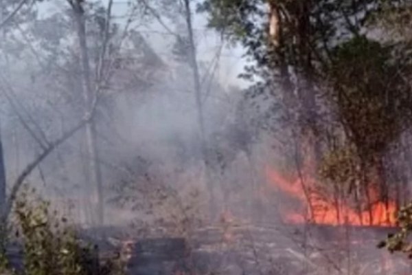 Incendio de un pastizal generó alarma en Goya