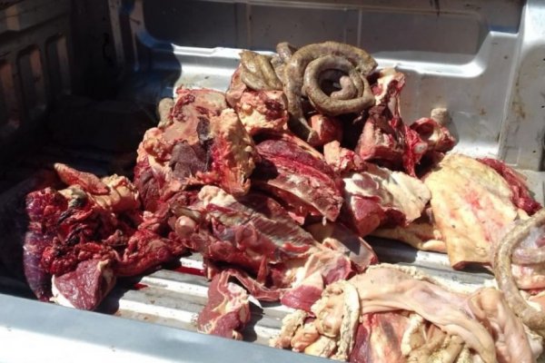 Incautaron 207 kilos de carne bovina y embutidos no aptos para el consumo