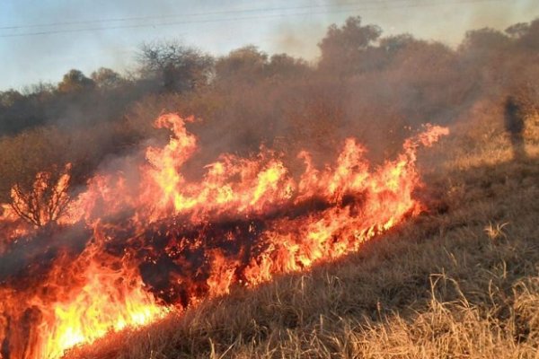 Incendios de pastizales causaron daños en la distribución de energía
