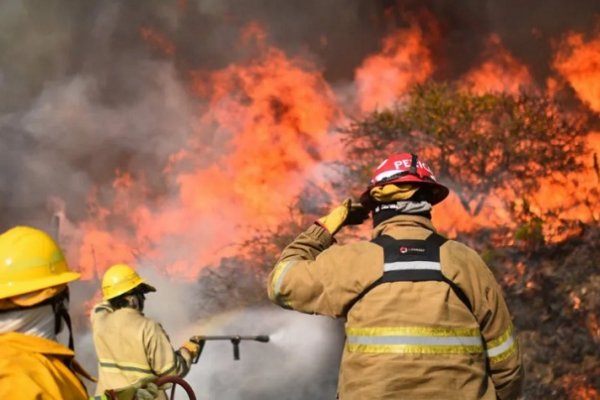 Disponen un premio de 10 mil pesos para los bomberos que combaten incendios forestales